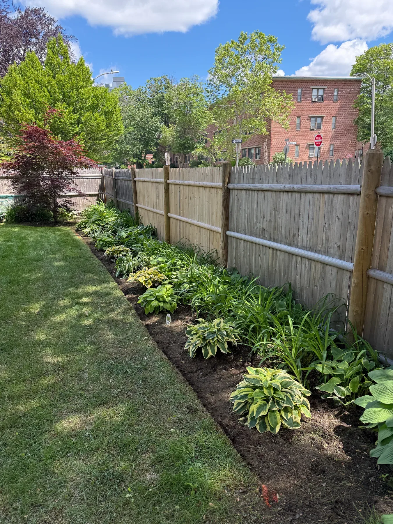 Newly arranged hosta planting bed installed by S.B. Landscaping
