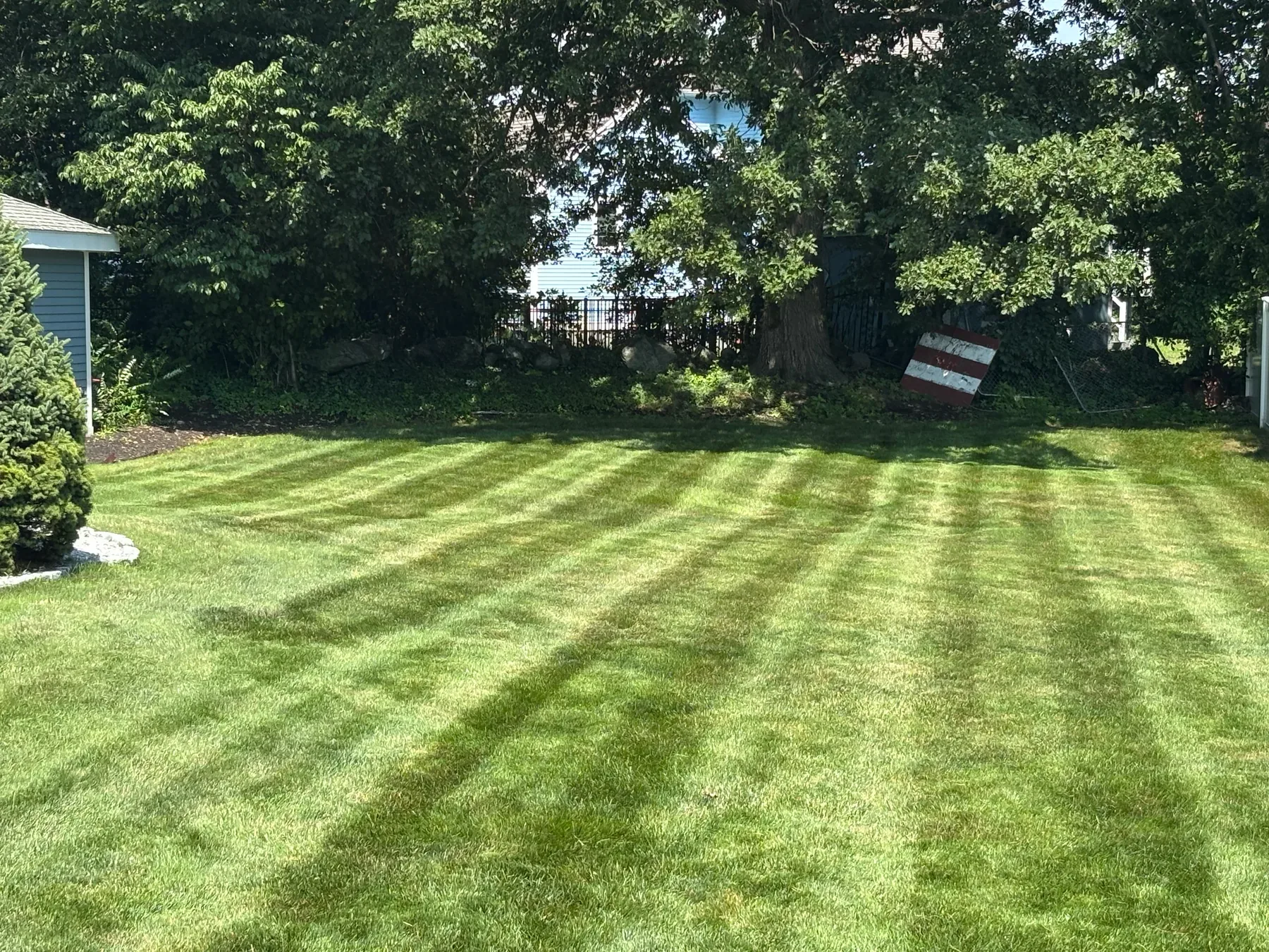 Fresh lawn maintenance stripes completed by S.B. Landscaping